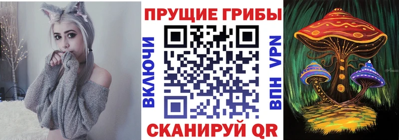Купить Лодейное Поле Псилоцибиновые грибы Magic Shrooms