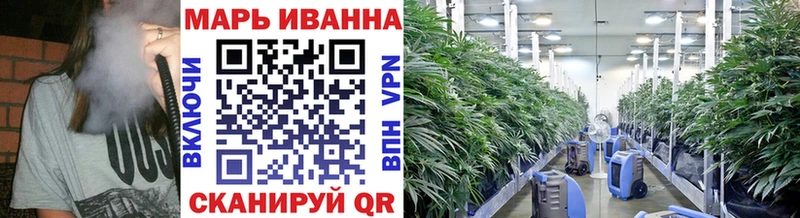 Бошки марихуана Bruce Banner  Купить где  Лодейное Поле 
